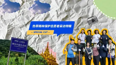 热带雨林保护计划